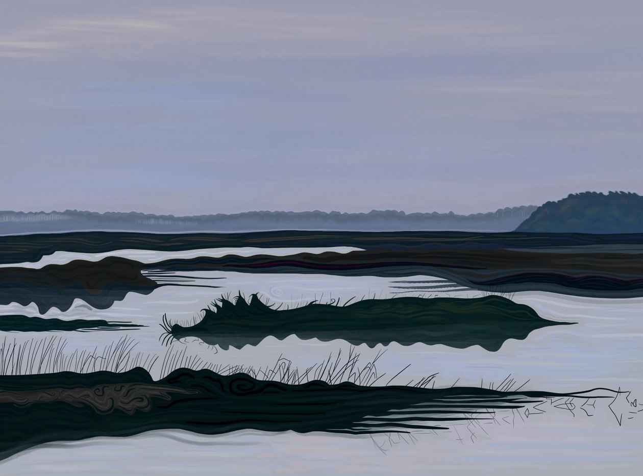 Low Country, Blufton, Carolina do Sul, 2025 (arte digital) de Evan Sklar