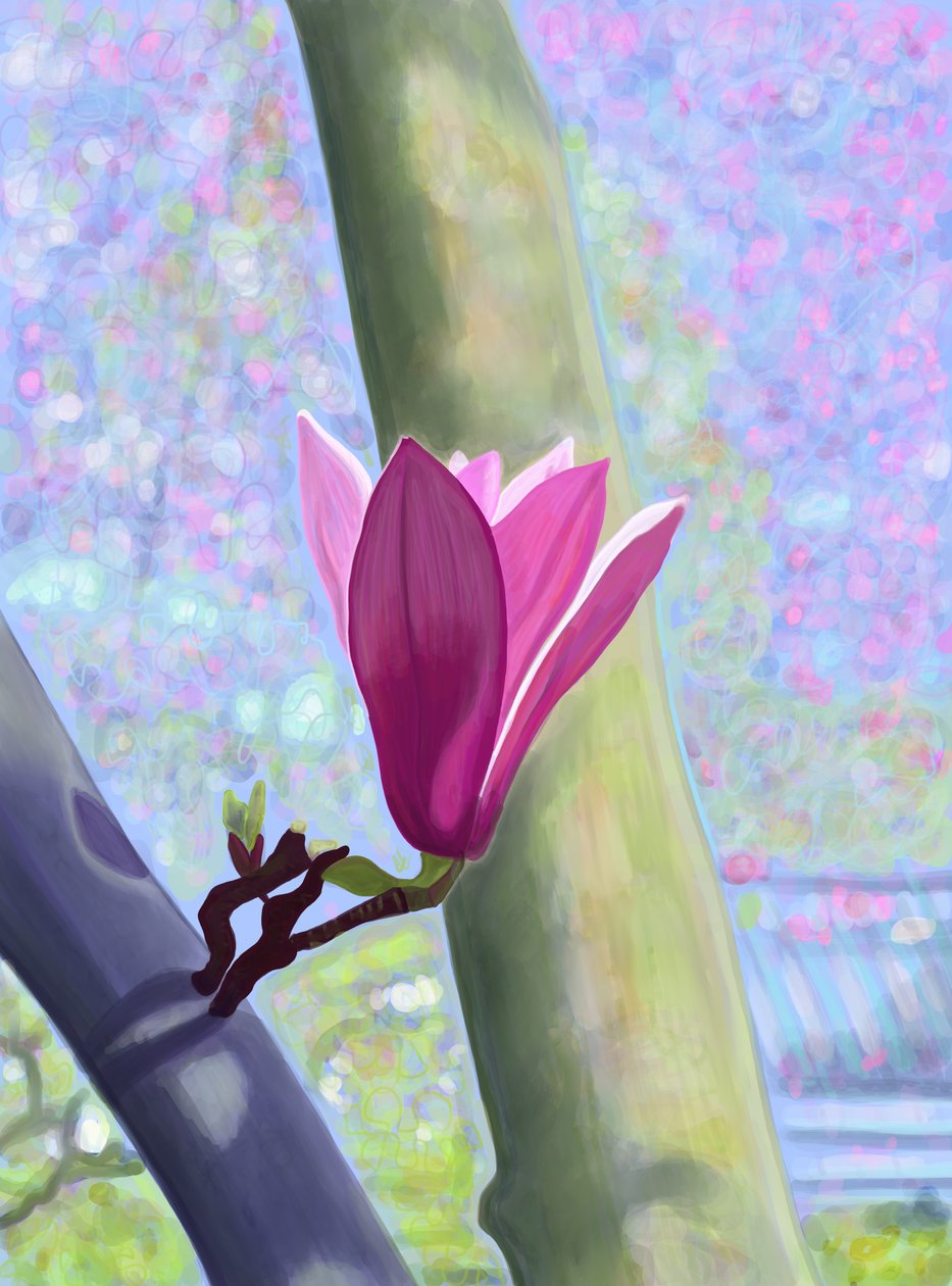 Magnólia em flor (arte digital) de Evan Sklar