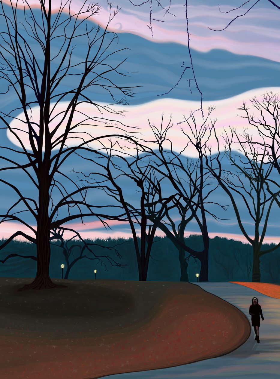 Homem a fazer exercício no Prospect Park ao nascer do sol, ao crepúsculo (arte digital) de Evan Sklar