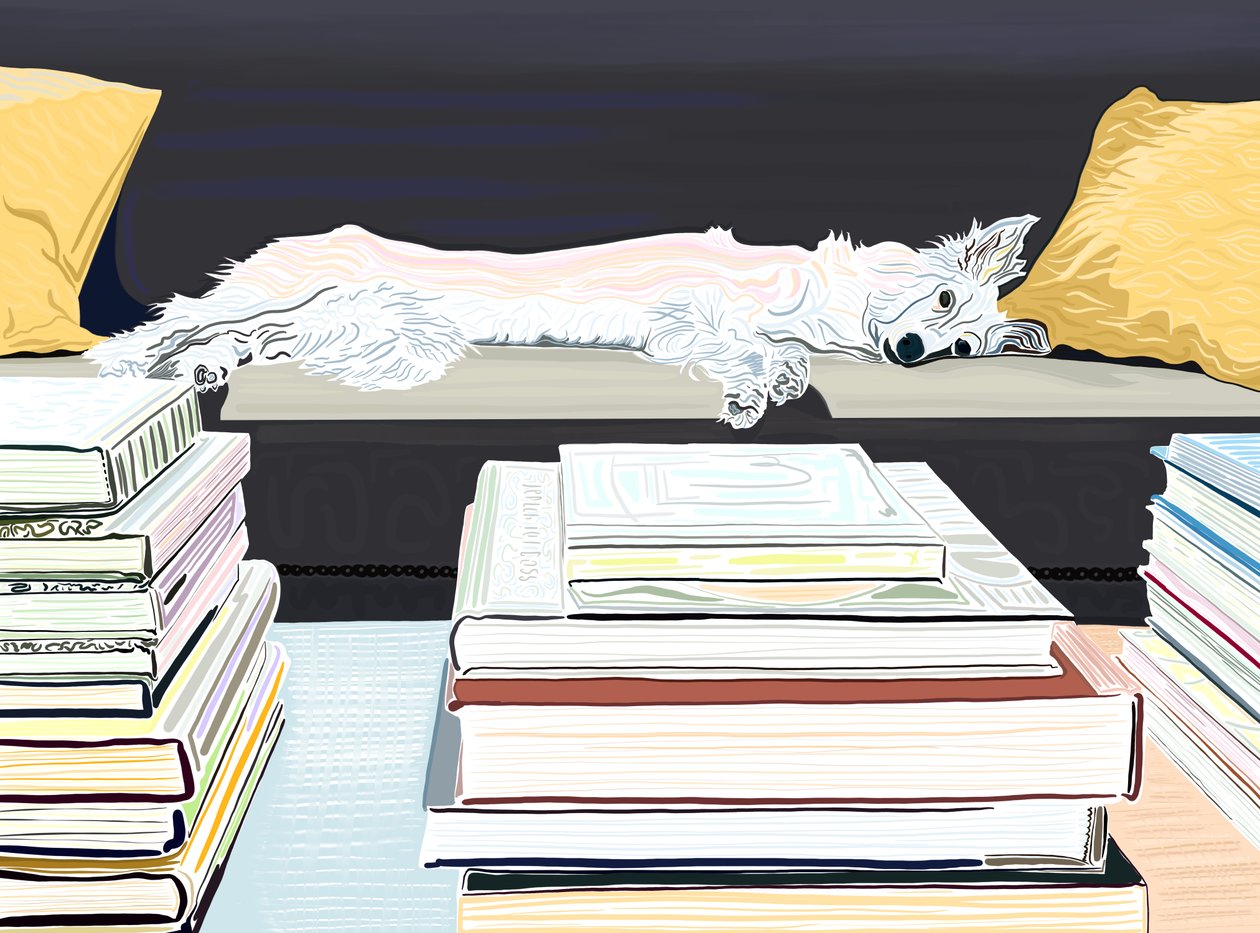 A Minnie no sofá com livros, c.2020-24 (arte digital) de Evan Sklar