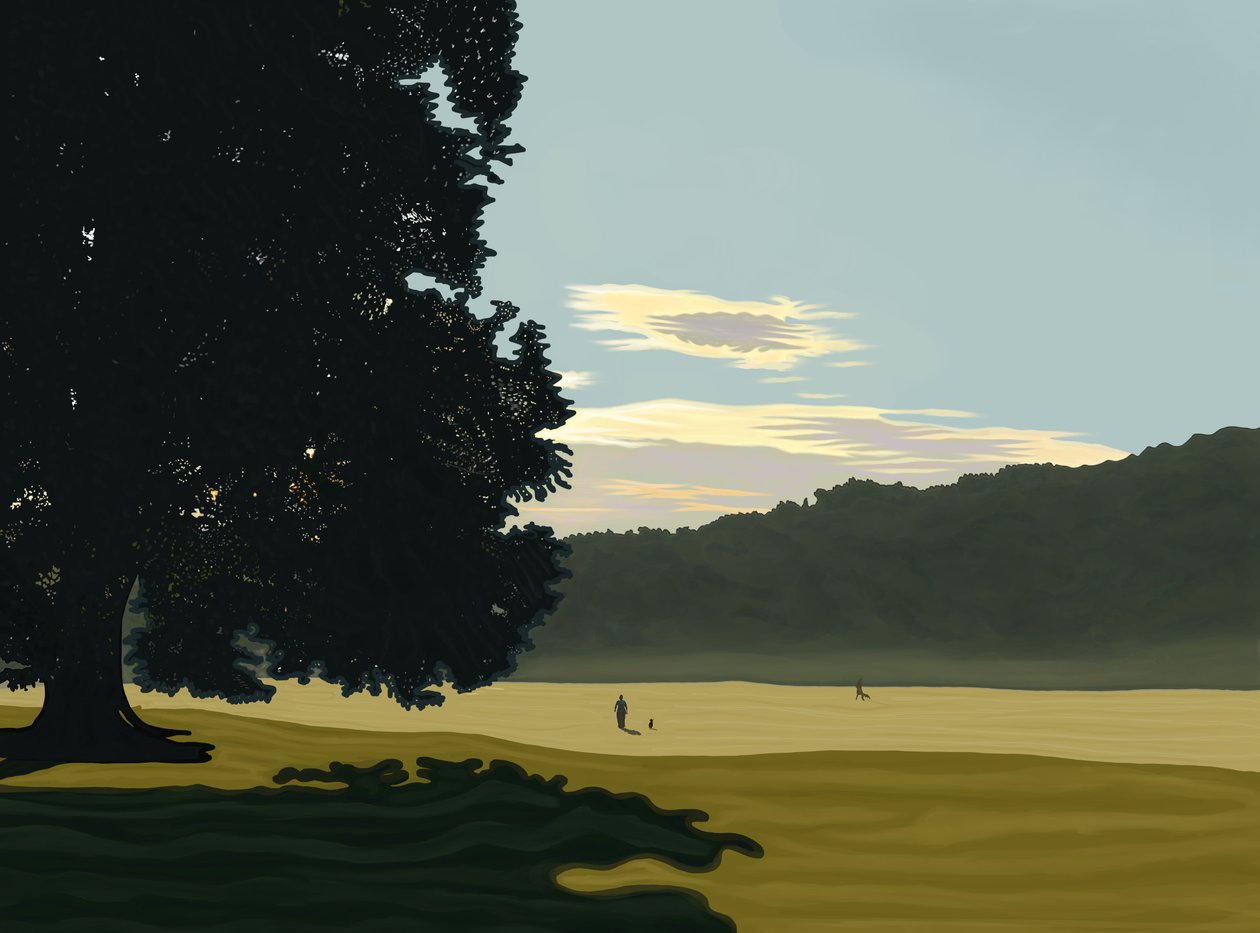 Nevoeiro matinal, Prospect Park, Brooklyn (arte digital) de Evan Sklar