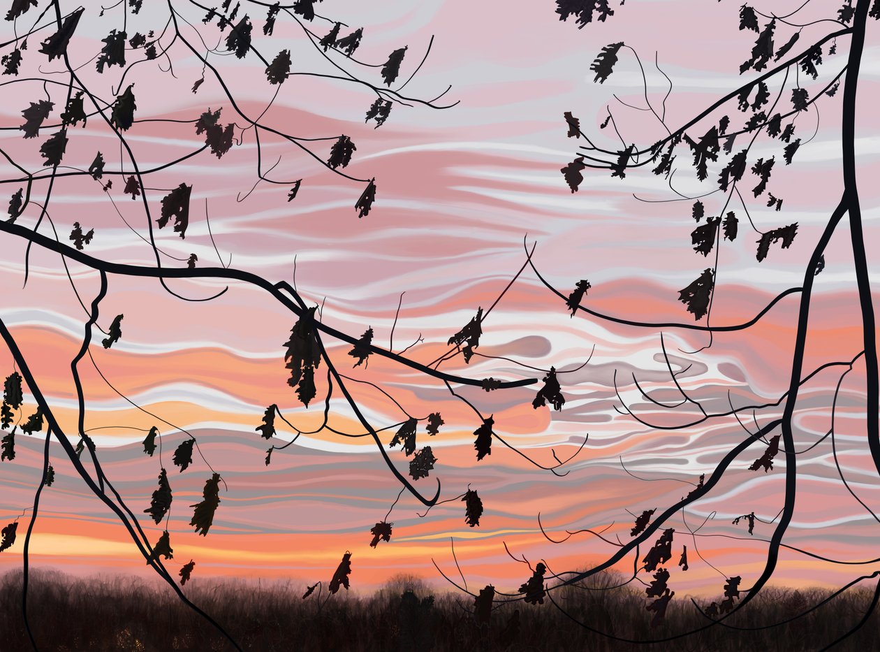Folhas de carvalho e céu, Brooklyn (arte digital) de Evan Sklar