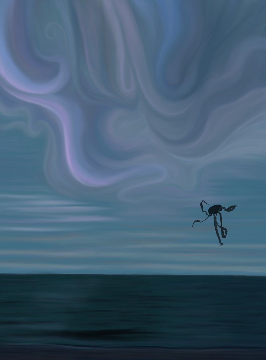 Oceano e nuvem com papagaio polvo (arte digital) de Evan Sklar