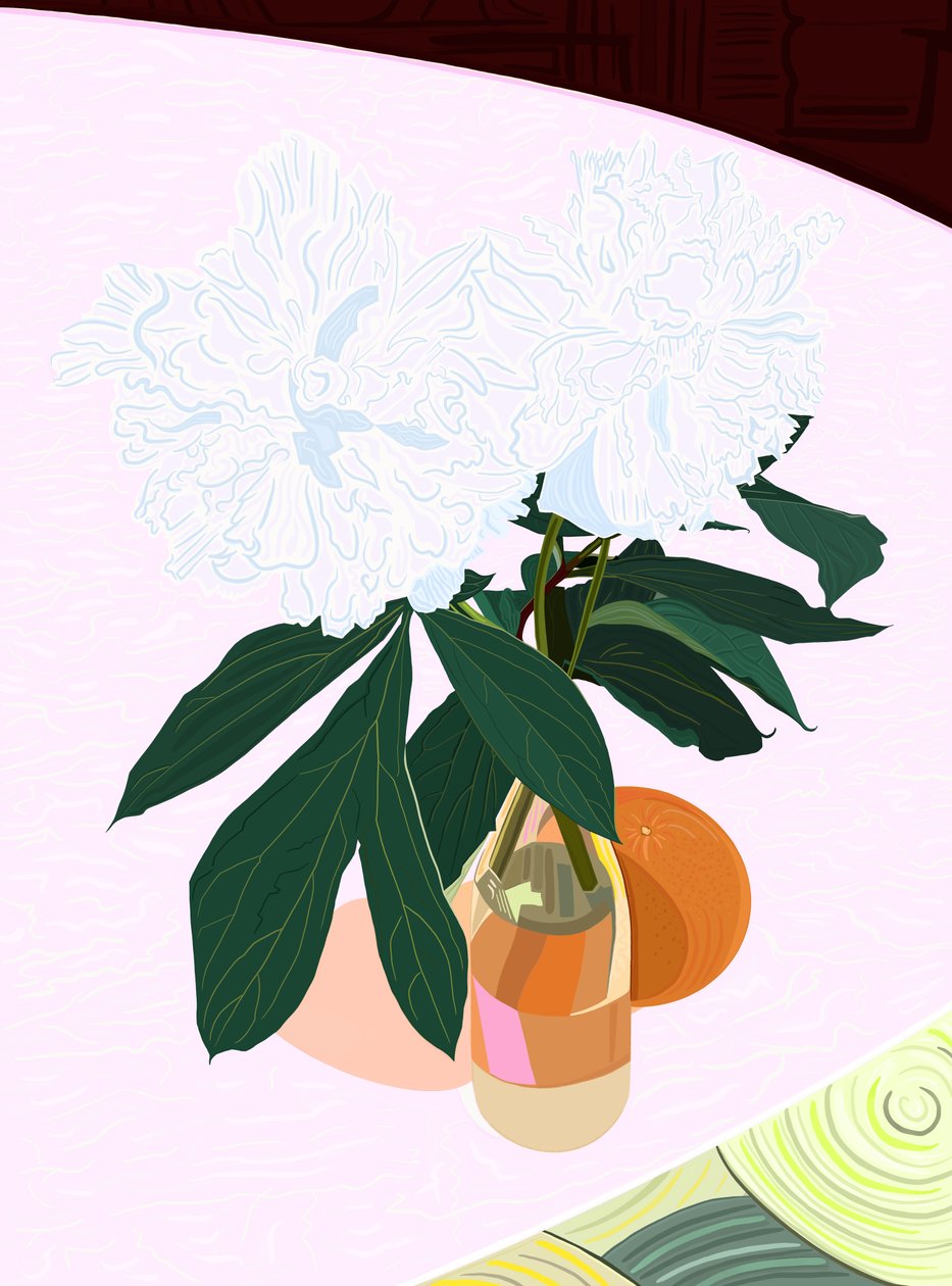 Peónia e toranja, c.2020-24 (arte digital) de Evan Sklar