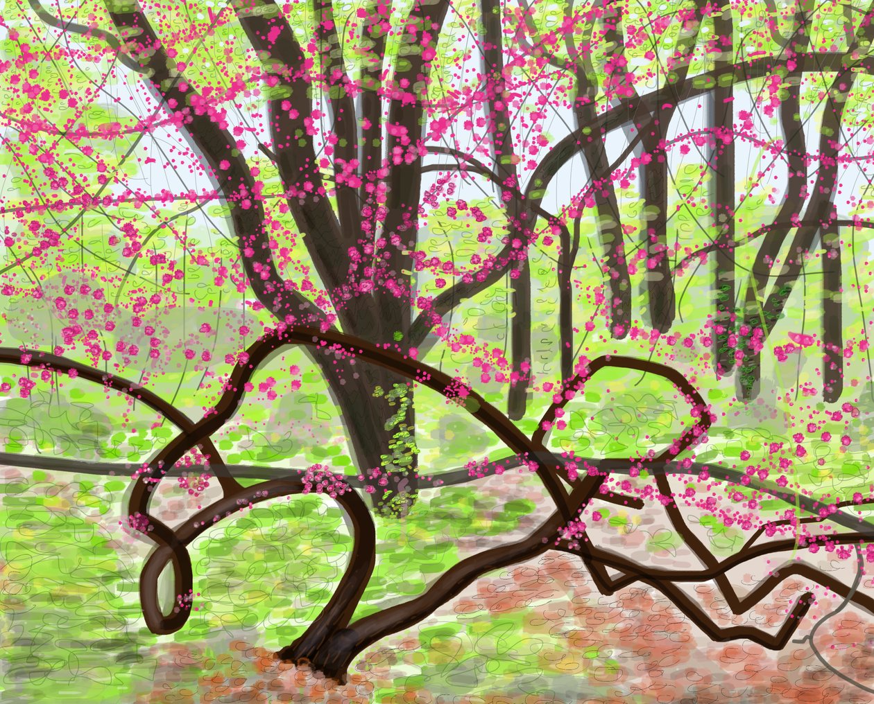 Prospect Park, primavera, 2017 (desenhado à mão num iPad com um lápis Apple) de Evan Sklar