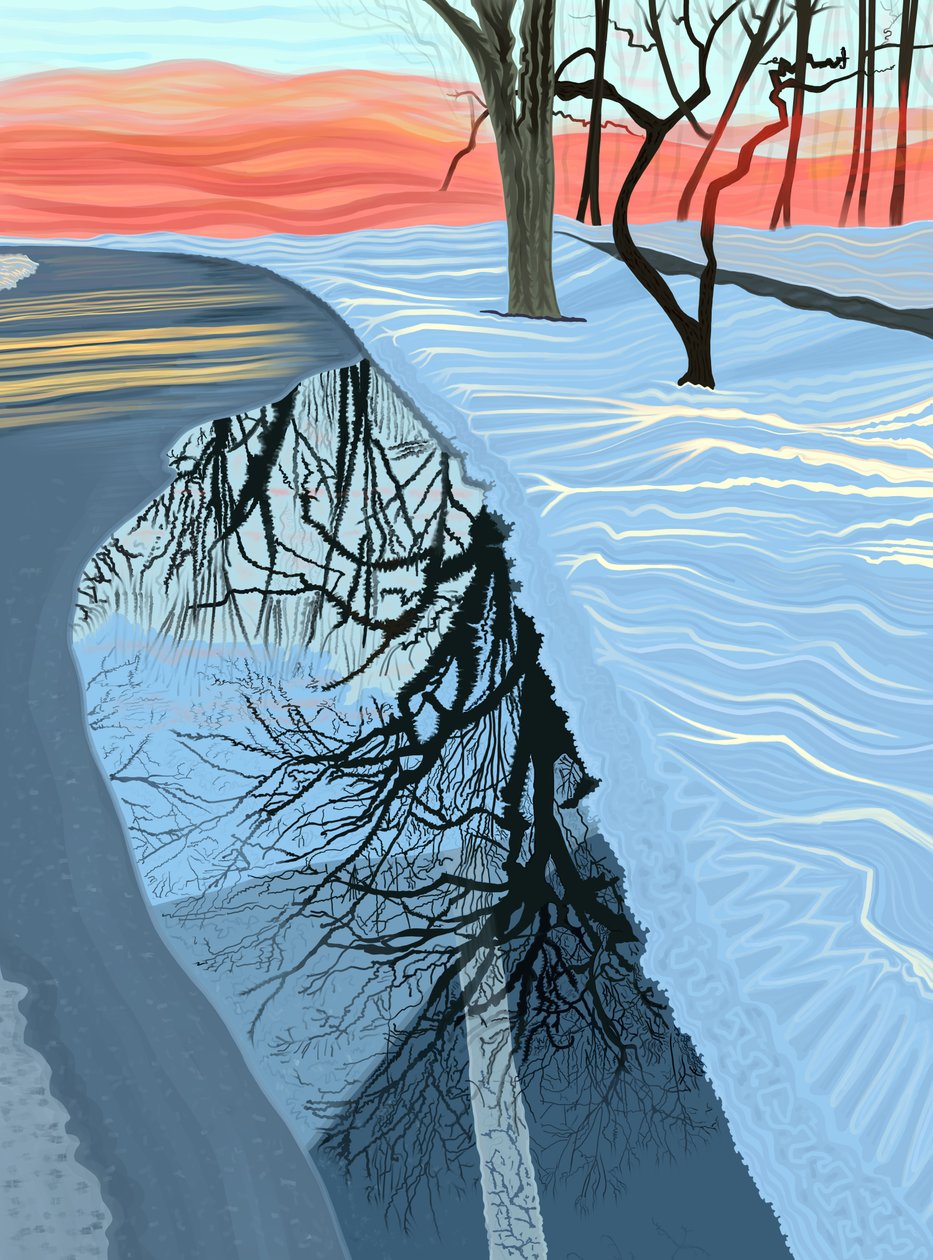 Poça e neve no parque, Brooklyn (arte digital) de Evan Sklar