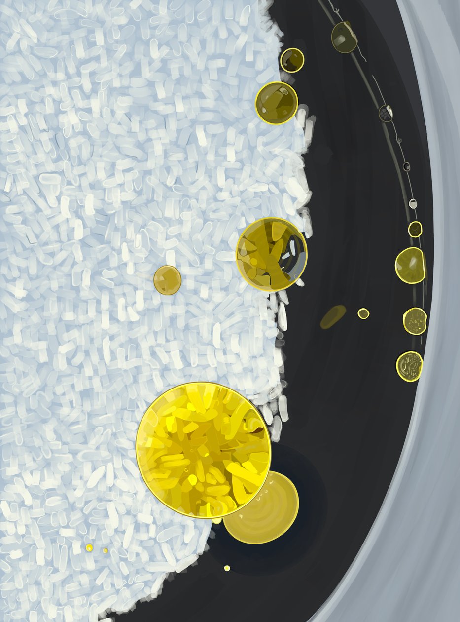 Arroz a cozer numa panela com gotas de azeite (arte digital) de Evan Sklar