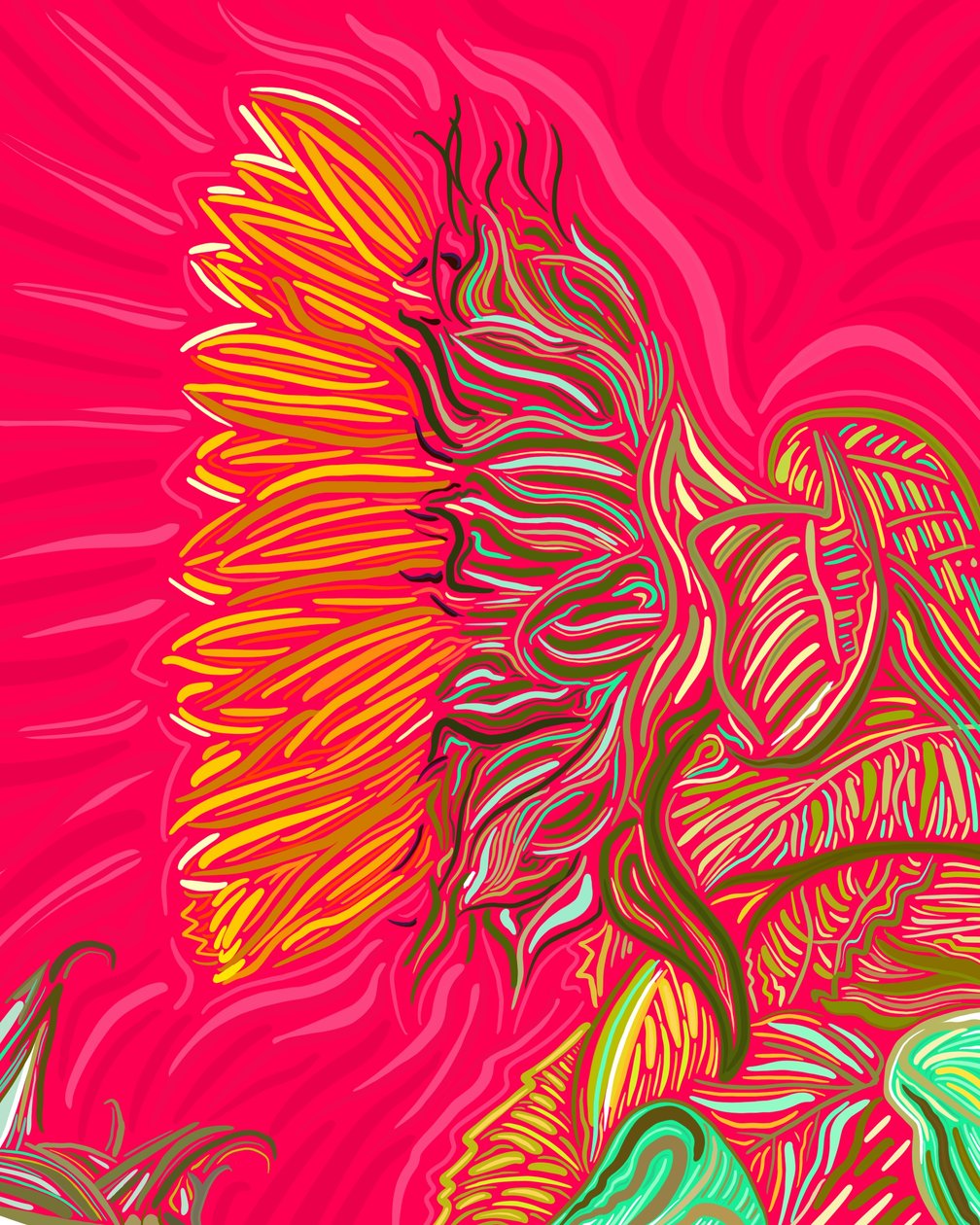 Um único girassol, c.2020-24 (arte digital) de Evan Sklar