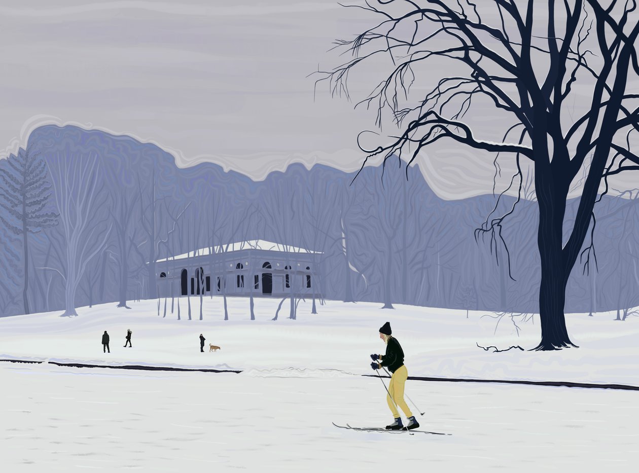 Esquiador, Prospect Park , Brooklyn (arte digital) de Evan Sklar