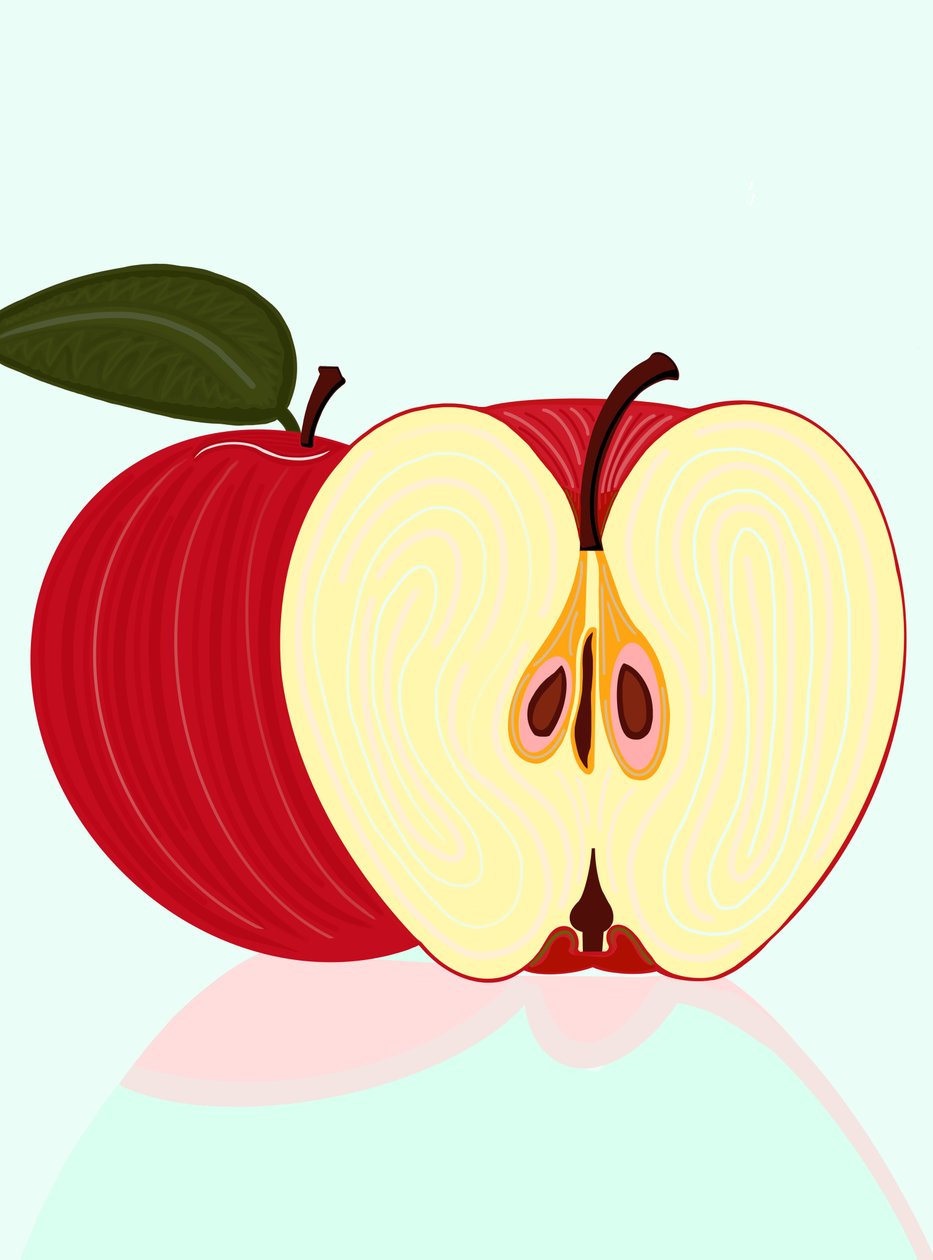 Sliced Apple Brooklyn (arte digital) de Evan Sklar