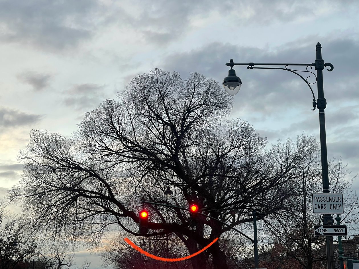 Árvore sorridente e semáforos. Brooklyn (arte digital) de Evan Sklar