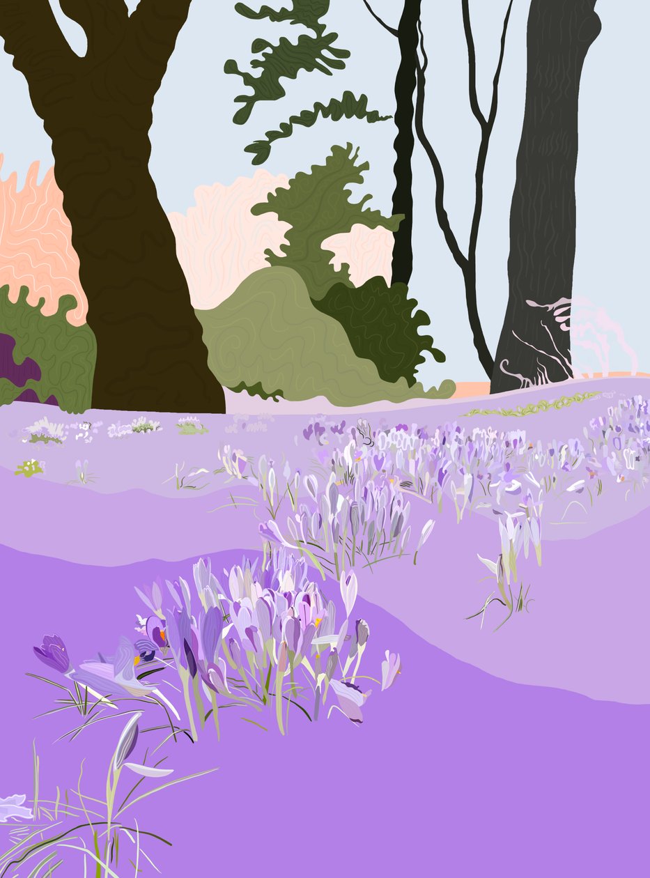 Spring Crocus (arte digital) de Evan Sklar