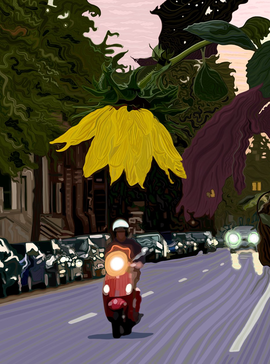 Girassol e homem a conduzir scooter vermelha (arte digital) de Evan Sklar