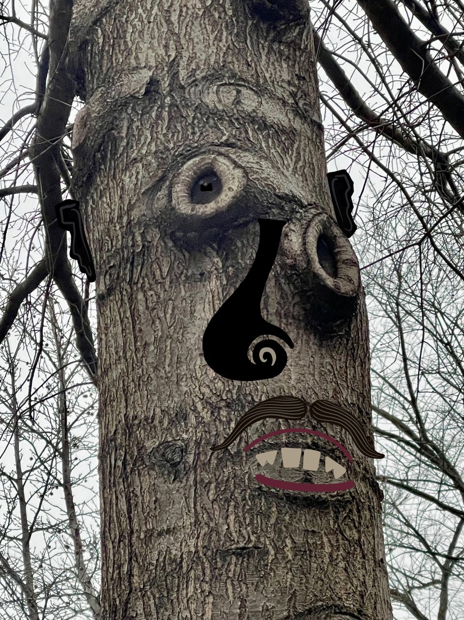 Rosto de árvore , c.2020-24 (arte digital) de Evan Sklar