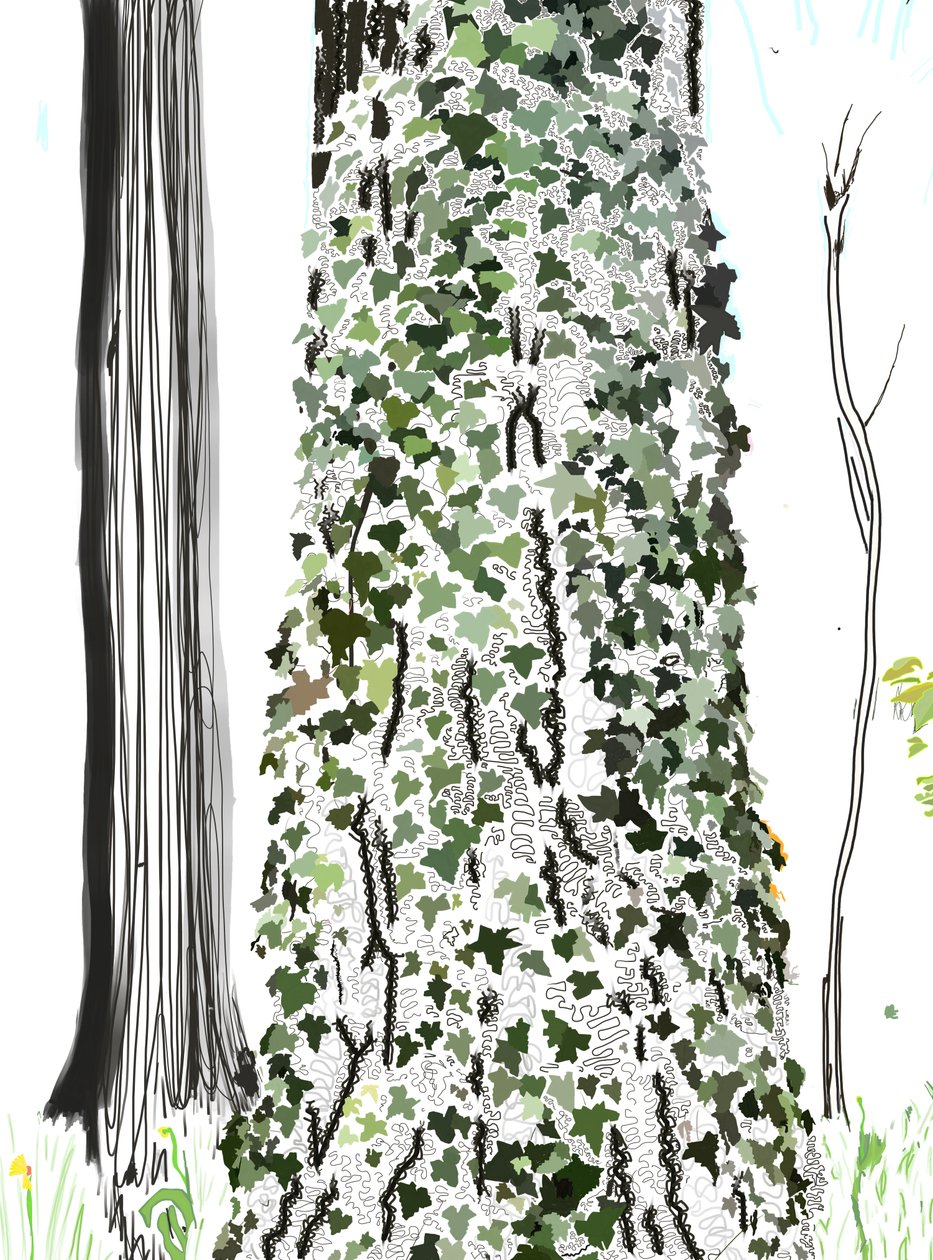 Árvore com hera (arte digital) de Evan Sklar