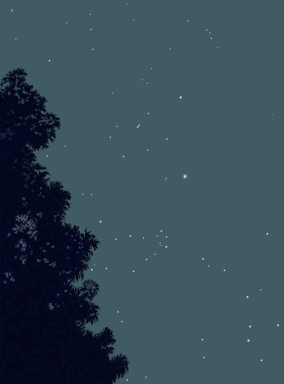 Árvore e estrelas à noite, 2025 (arte digital) de Evan Sklar