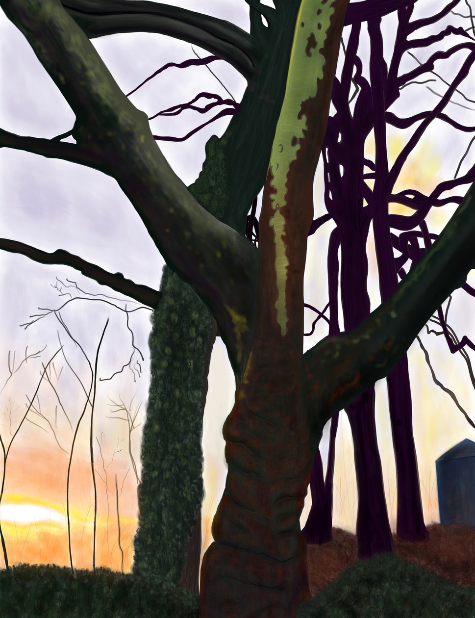 Árvores, Prospect Park, Brooklyn (arte digital) de Evan Sklar