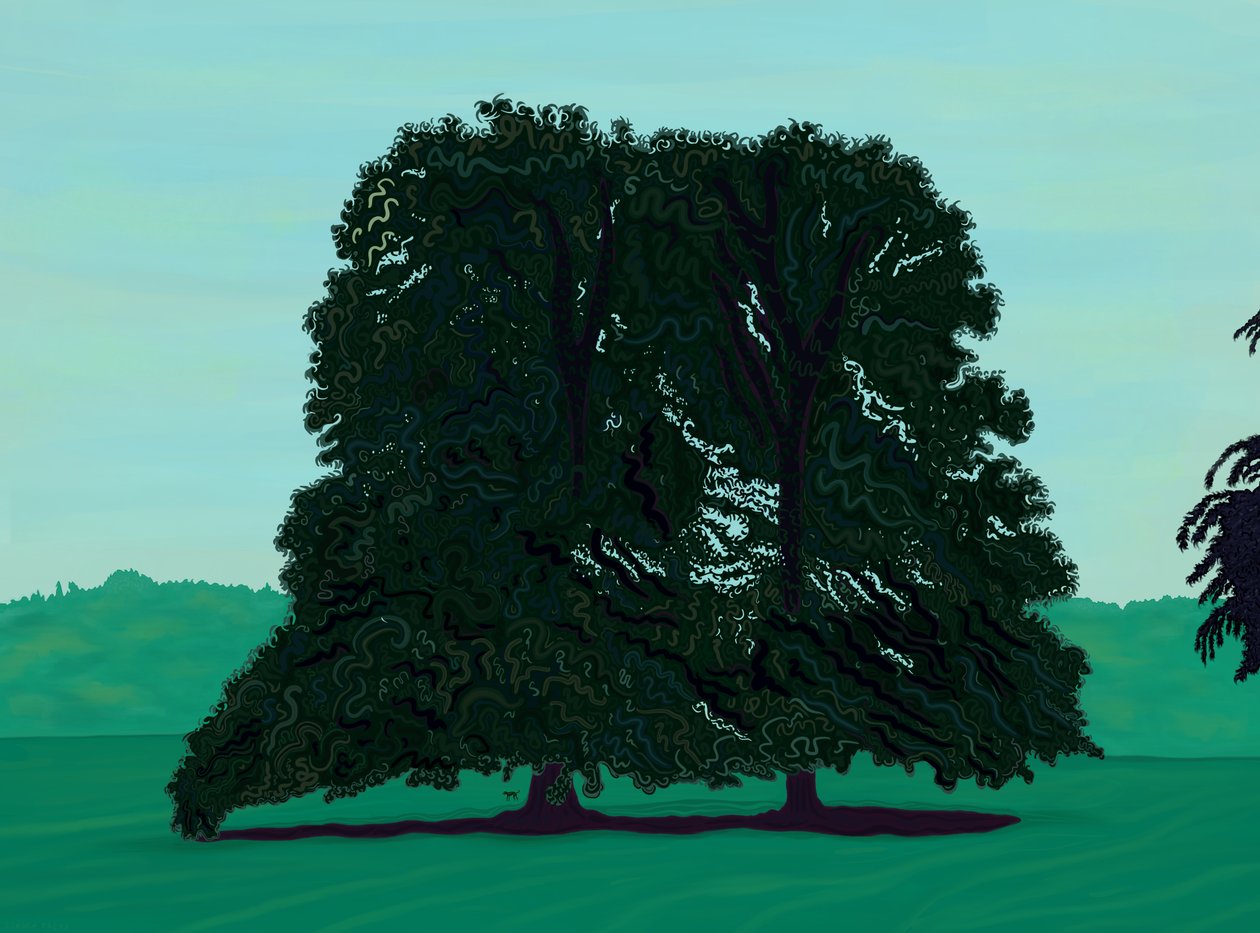 Duas árvores Lindsen no campo (arte digital) de Evan Sklar