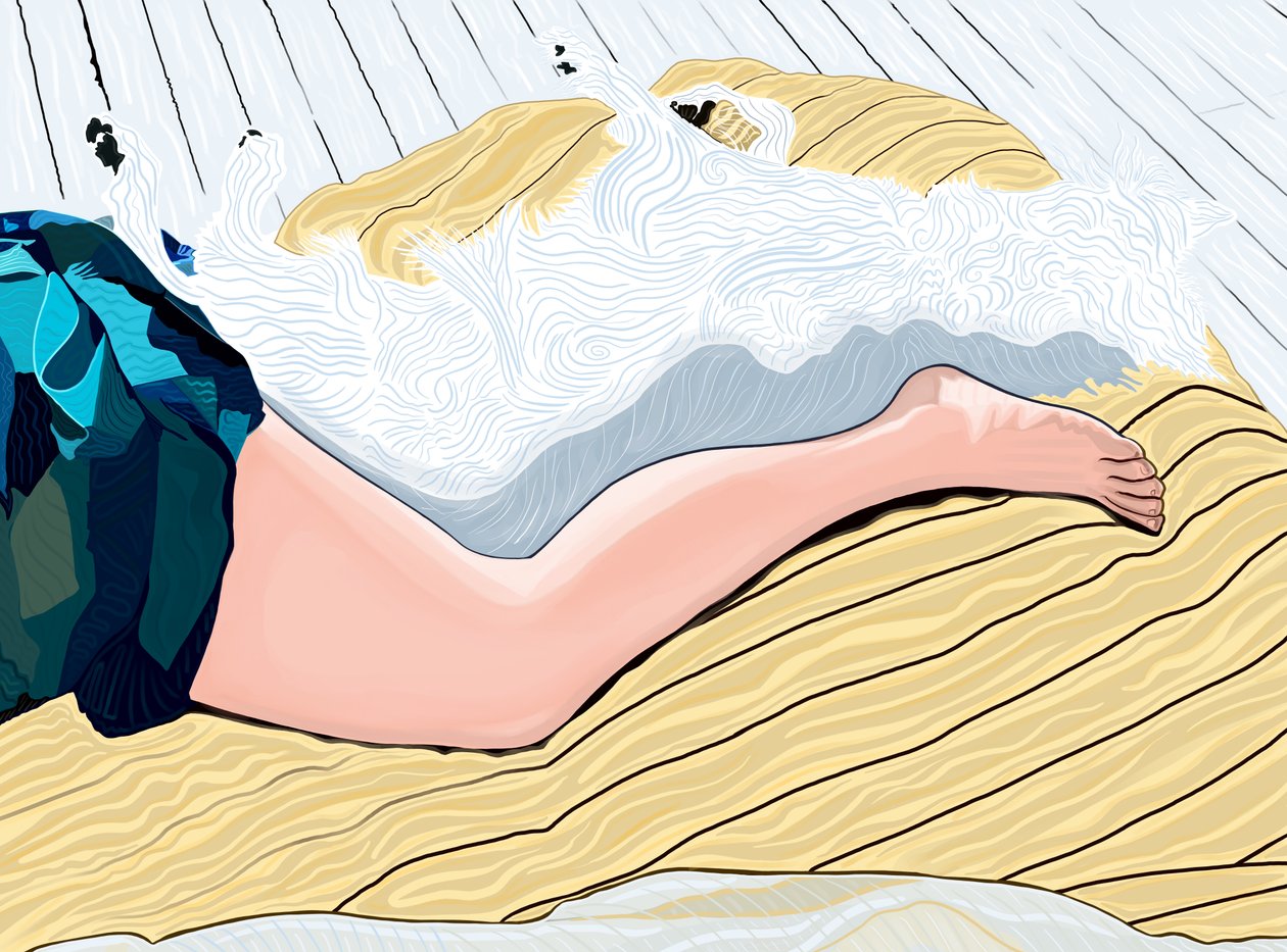 Mulher e cão a dormir a sesta (arte digital) de Evan Sklar