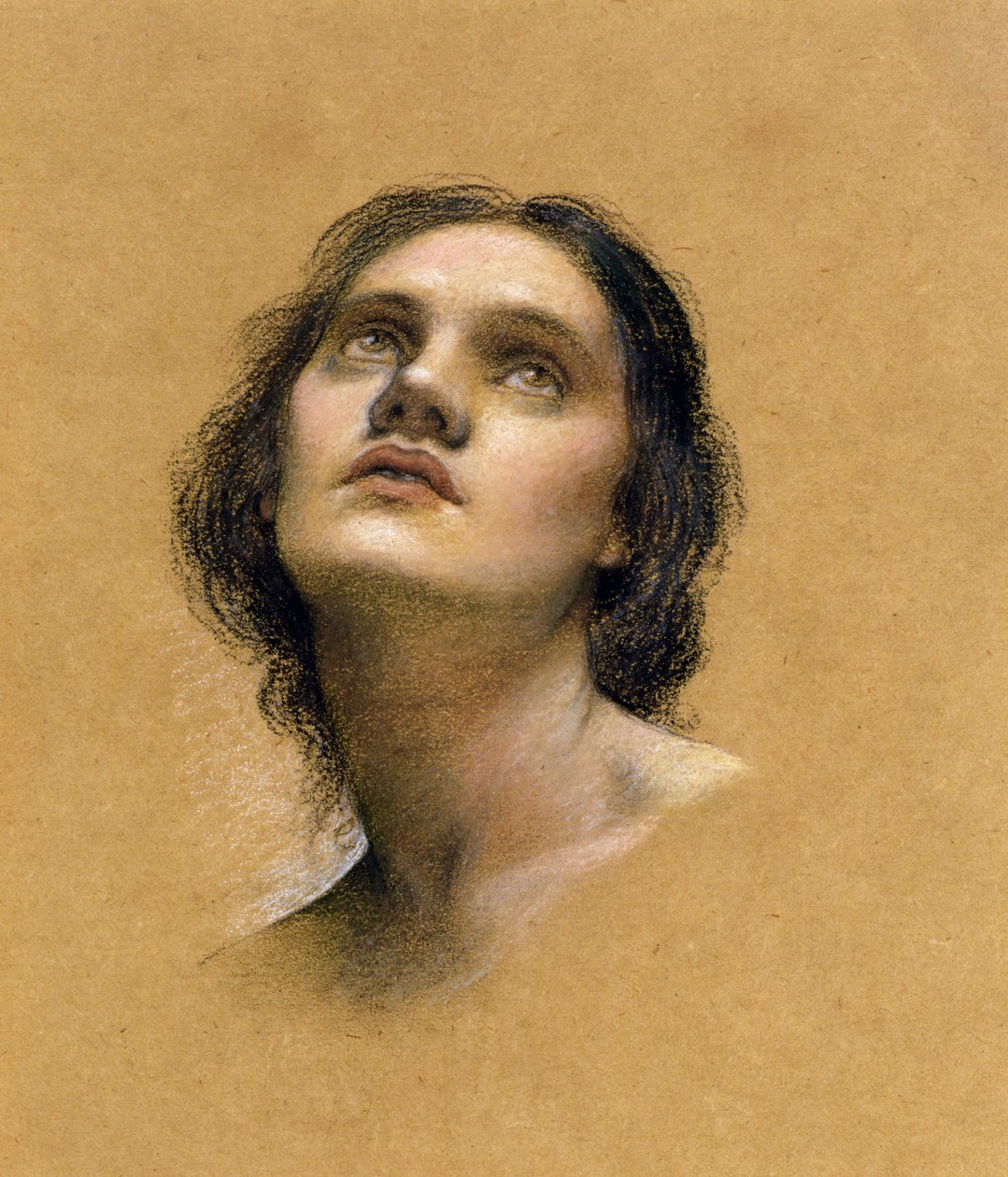 Estudo de uma cabeça (pastel em papel) de Evelyn De Morgan