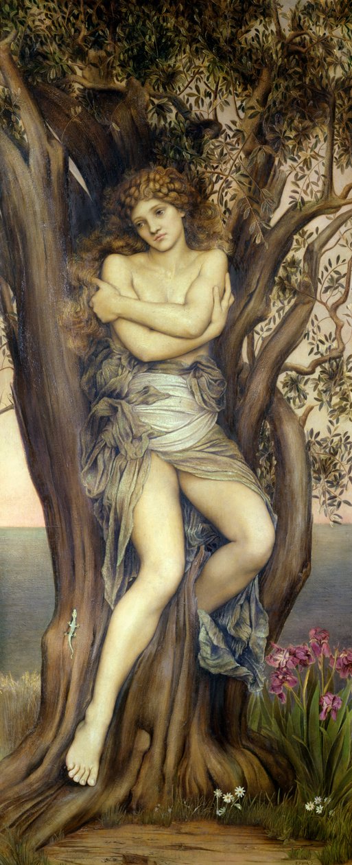 O Dríade, 1884-85 de Evelyn De Morgan