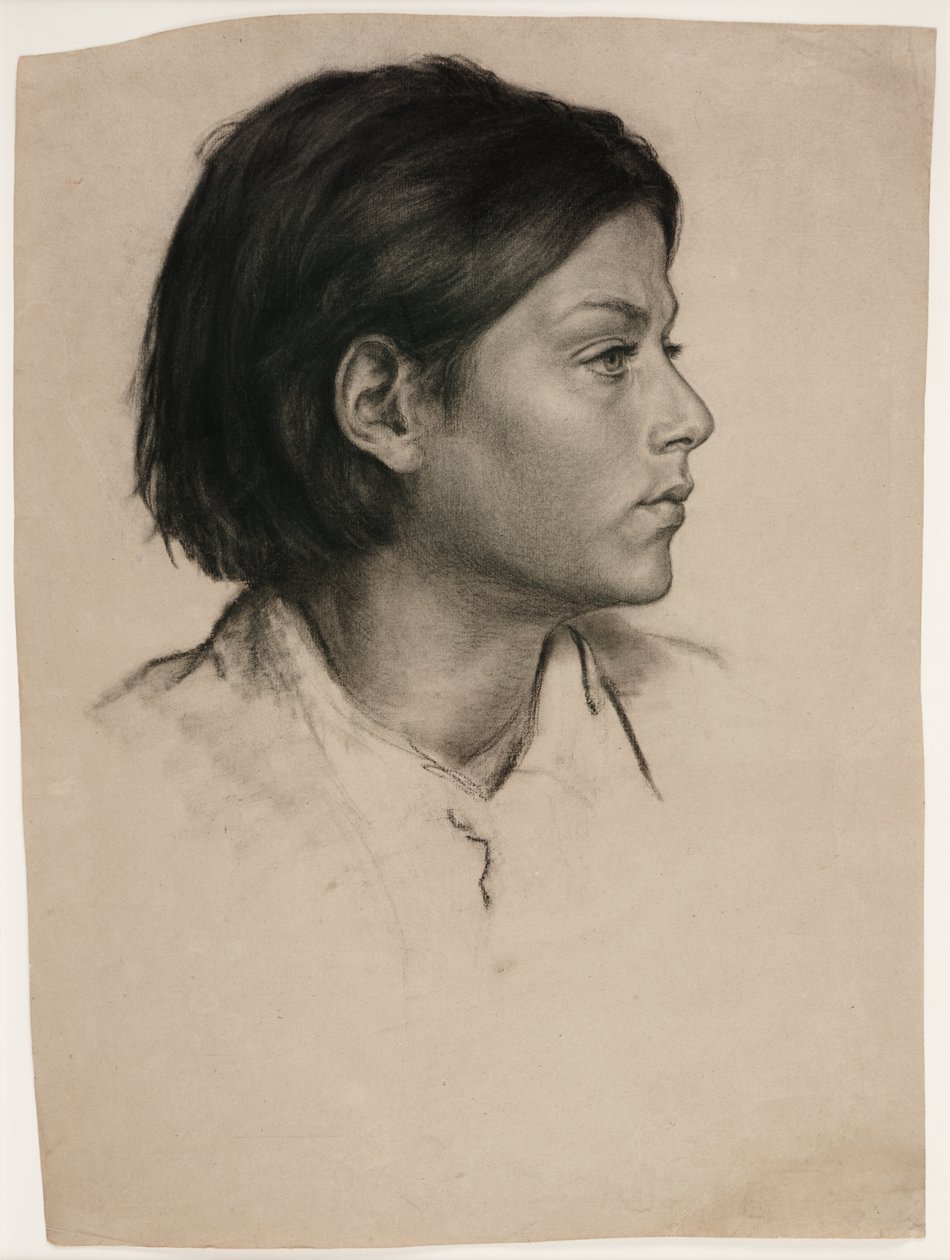Cabeça de mulher, c.1875 (carvão sobre papel) de Evelyn De Morgan