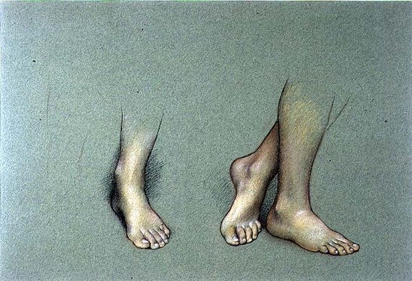Estudo dos Pés (pastel sobre papel) de Evelyn De Morgan