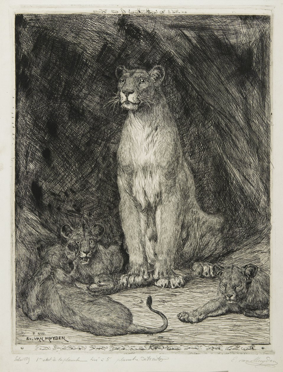 Leoa sentada e três filhotes, 1888 de Evert van Muyden