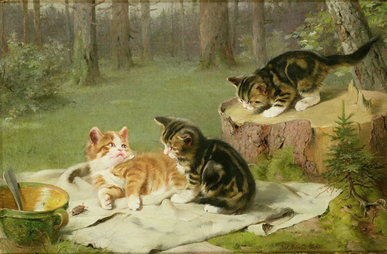 Gatinhos brincando de Ewald Honnef