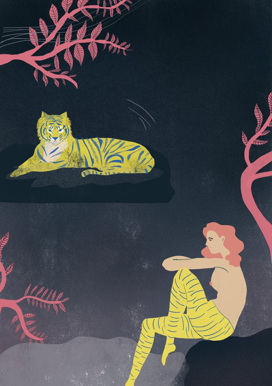 Eu e meu tigre de Ewelina Skowronska