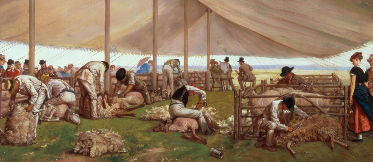 O jogo de corte de ovelhas, 1875 de Eyre Crowe
