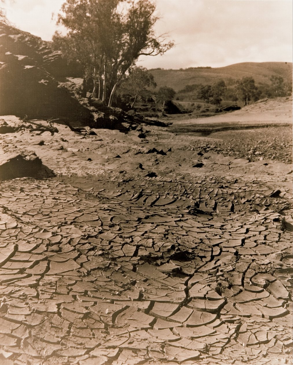 A piscina desapareceu, Flinders Ranges de F. A. Joyner
