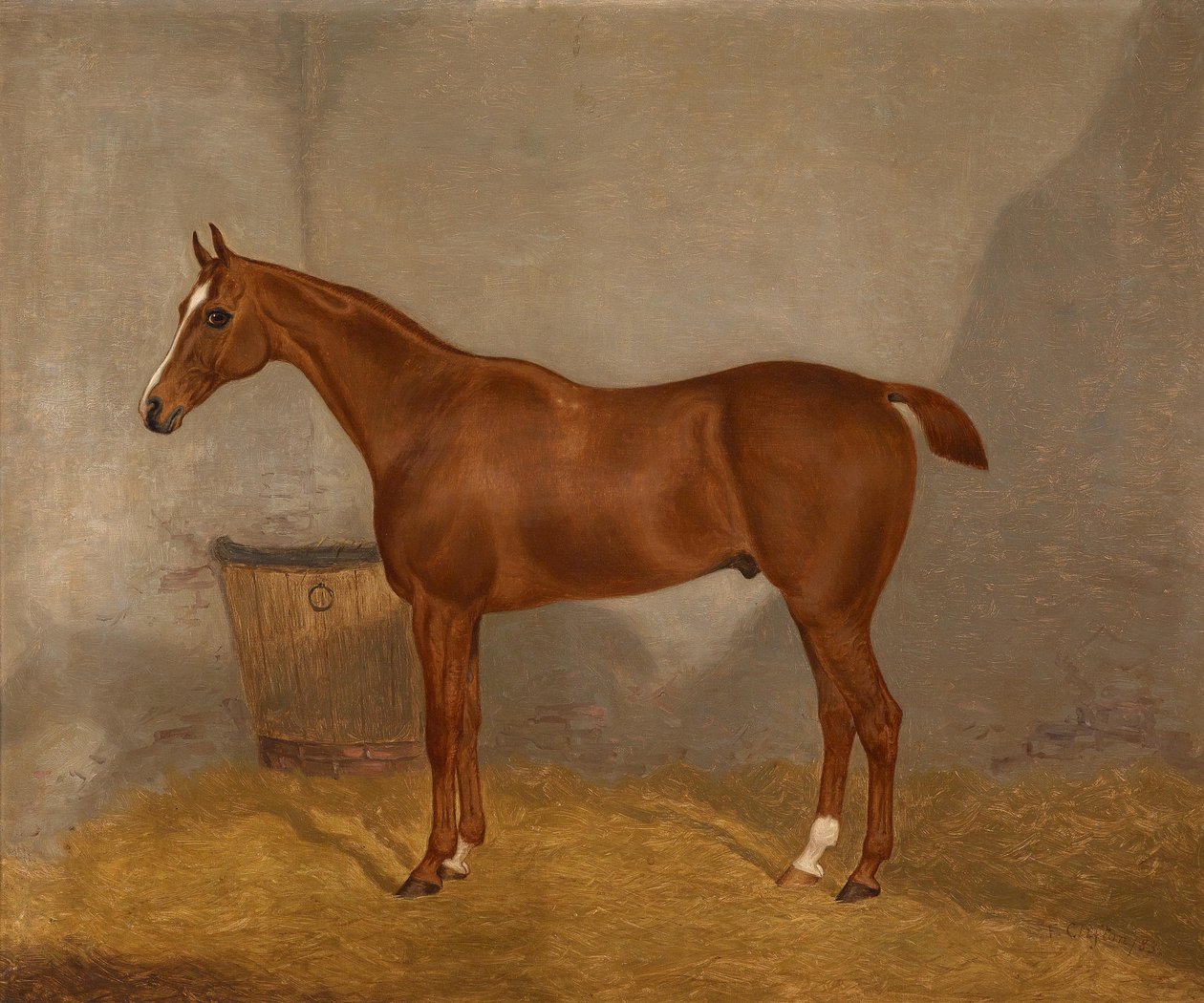 Retrato de cavalo (Fireland ou cocktail, um dos dois quadros em muito com estes nomes) de F. Clifton