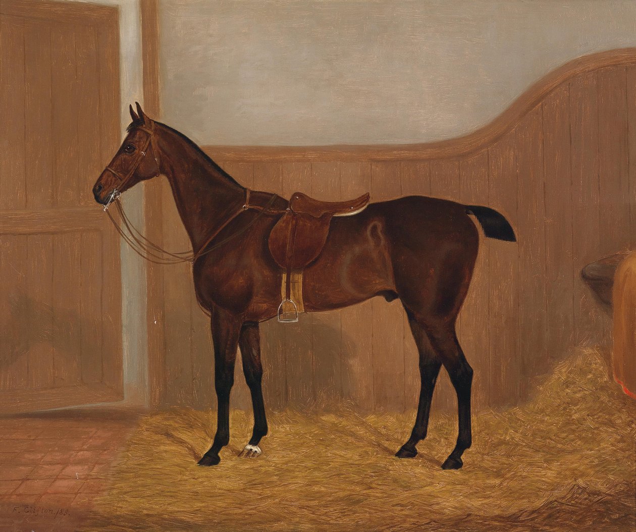 Retrato de cavalo (Fireland ou cocktail, um dos dois quadros em muito com estes nomes) de F. Clifton