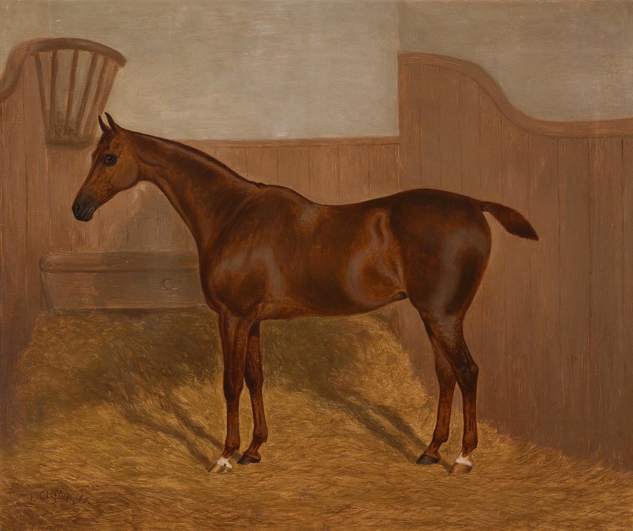 Retrato de cavalo (Lady Oswestry ou Dandy, um dos dois quadros em muito com esses nomes) de F. Clifton