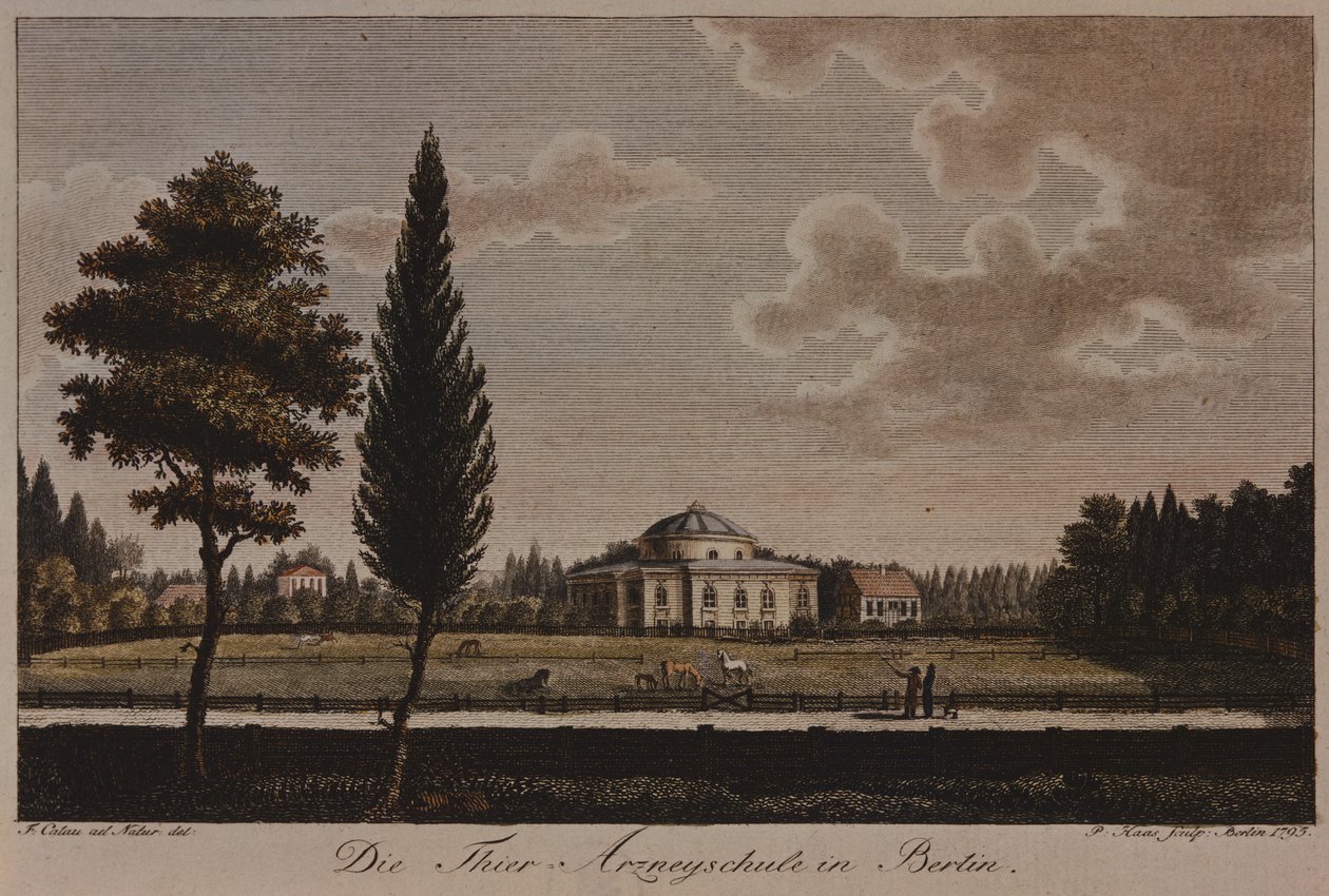 A escola veterinária, Berlim, 1795 (gravura) de F.A. Calau