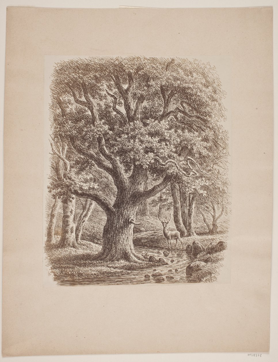 Interior da floresta com um riacho e um veado de F.C. Kiærskou