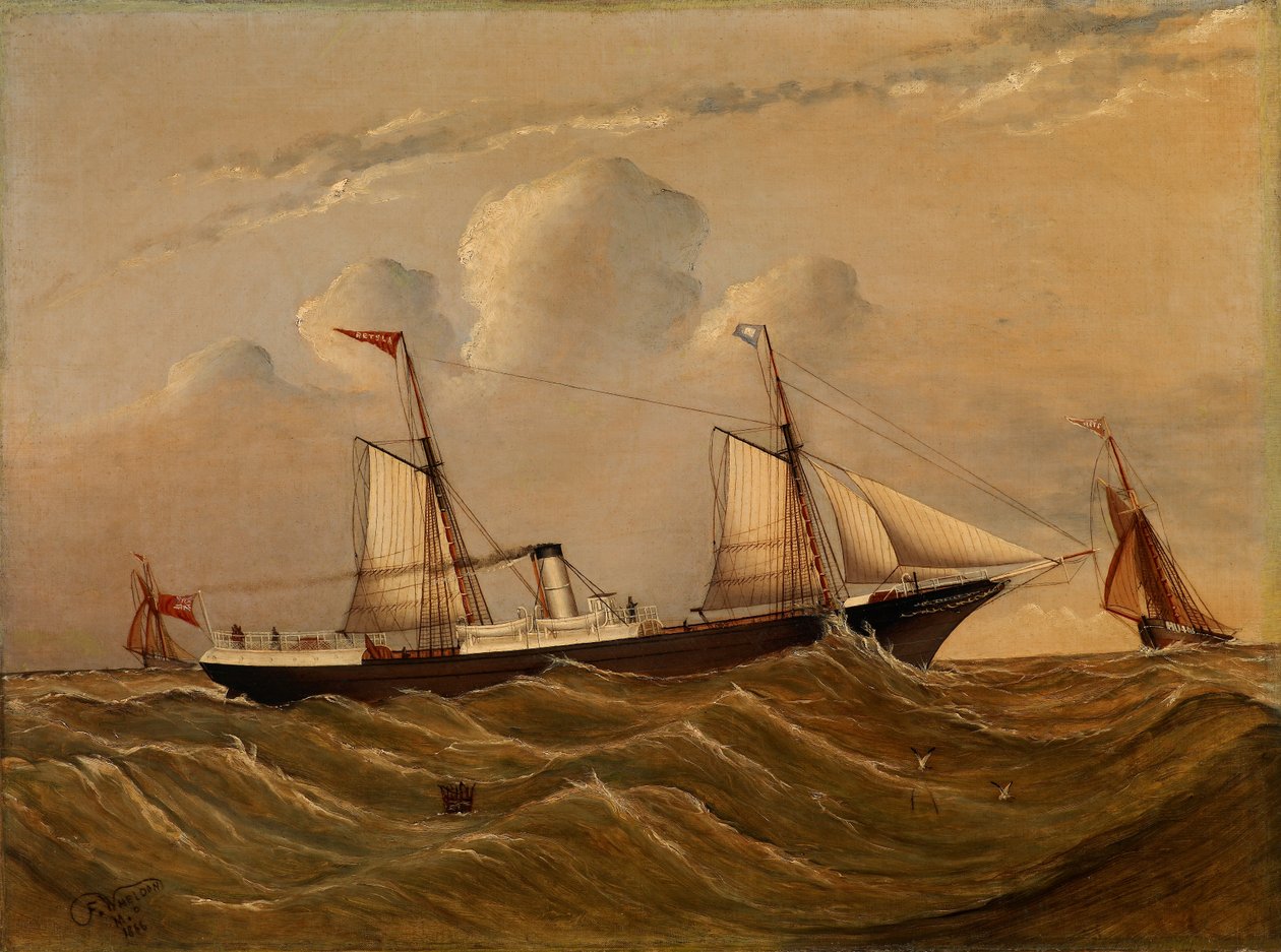 Navio a vapor Alster de F.M.P. Wheldon