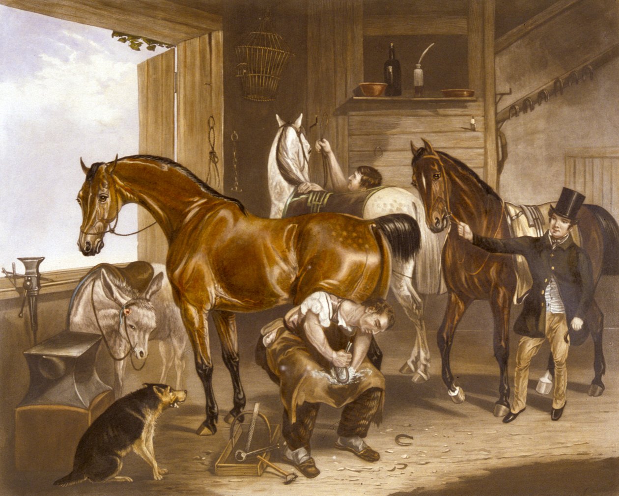 O Veterinário, gravado por J.R. Mackrell (cor litho) de F. C. (after) Turner