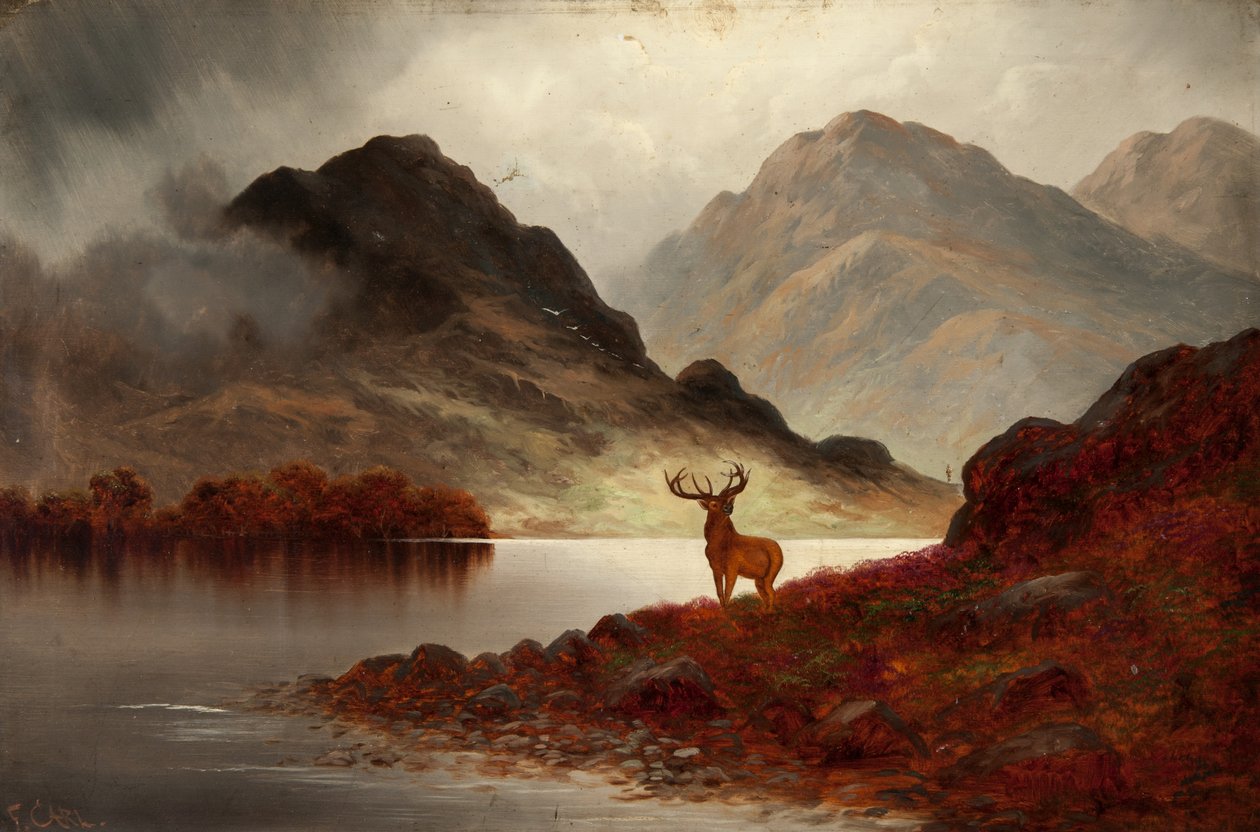 Stag at Bay (óleo sobre tela) de F. Carl
