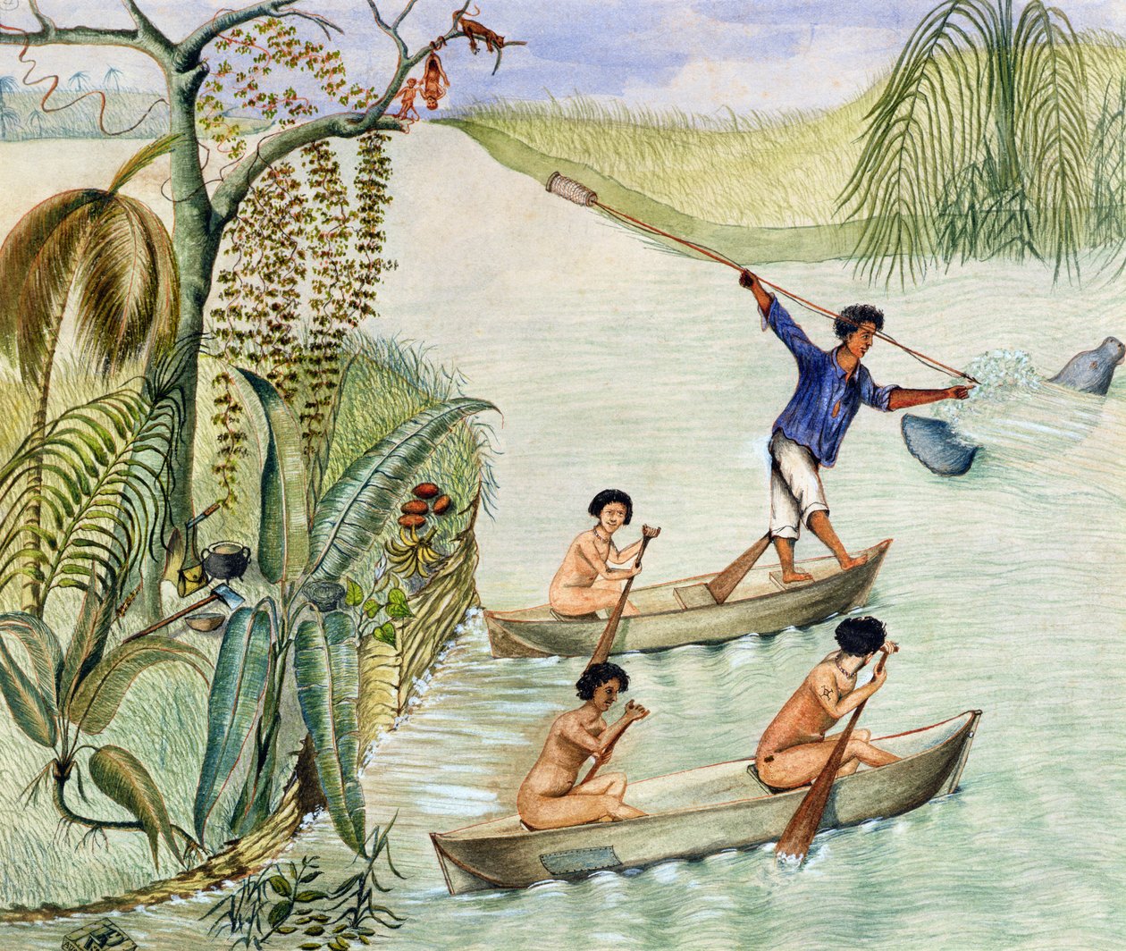 Manati Hunting, Lago Nicarágua de F. Deiezmann