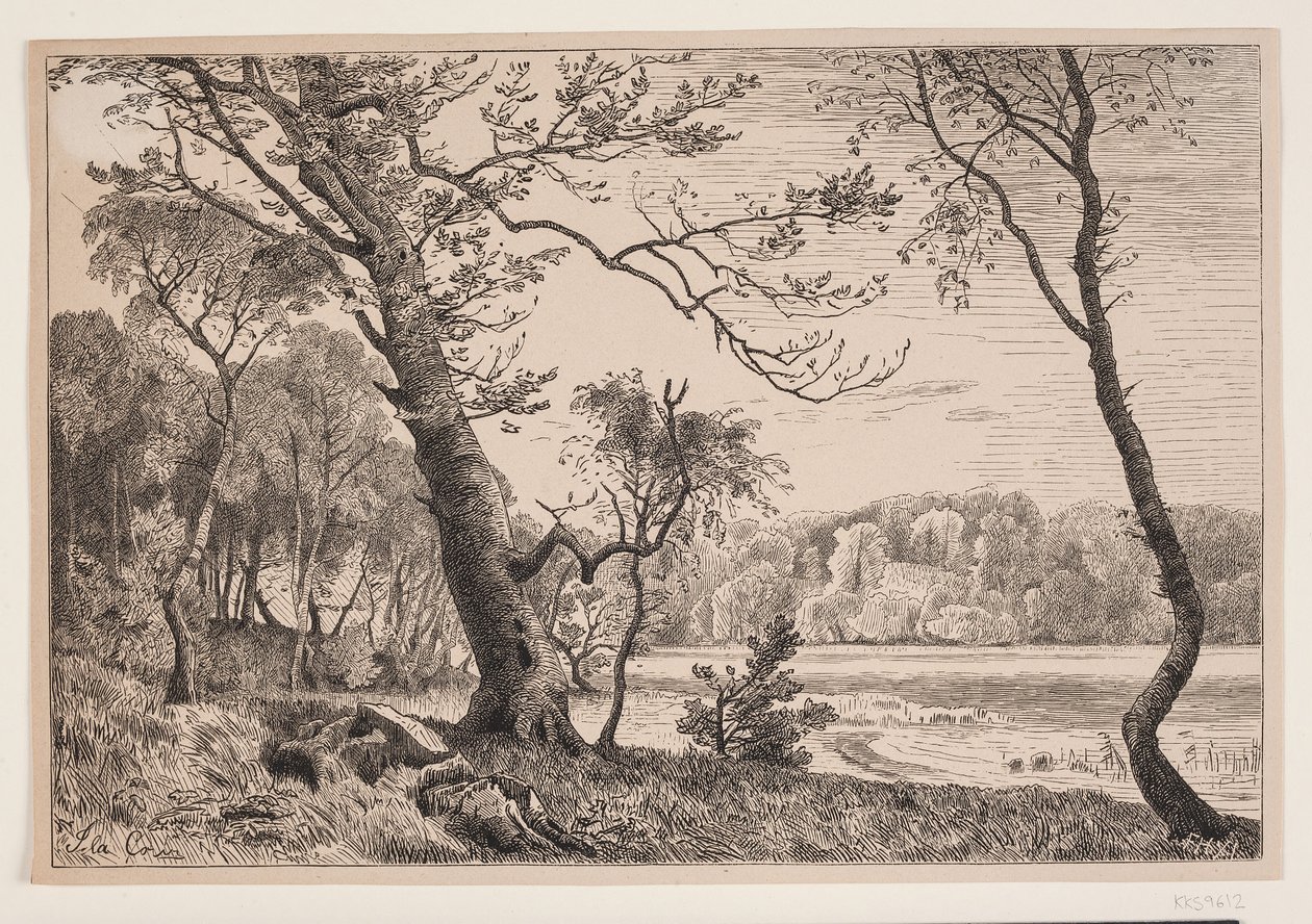 O bosque em Silkeborg contra Fruens Bænk de F. Hendriksen
