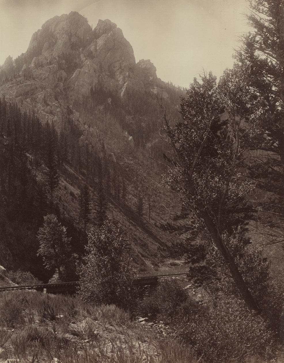 Sem título, c. 1884. de F. Jay Haynes
