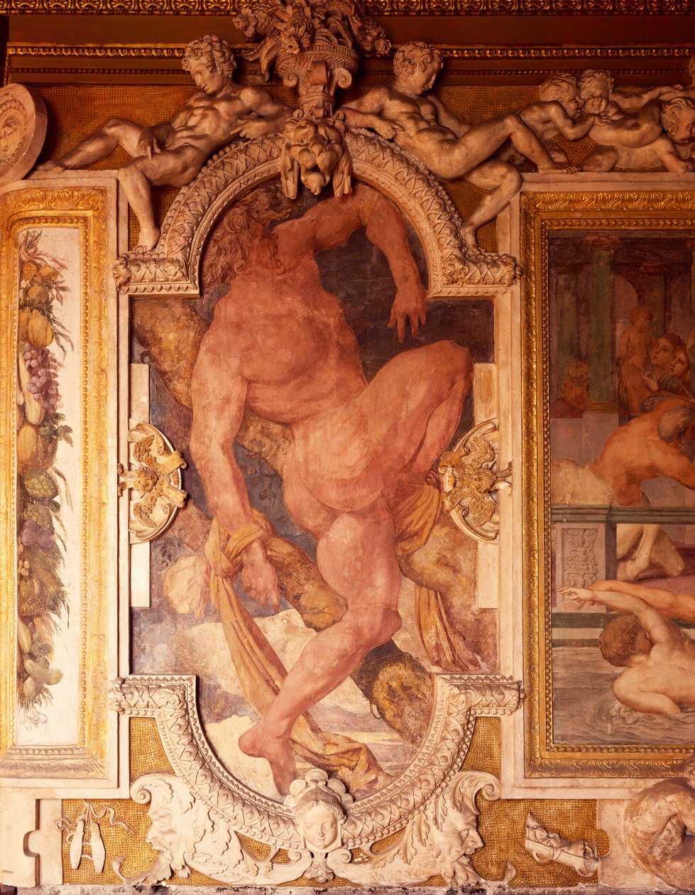 Frescos e estuques na galeria de Francis I do Chateau de Fontainebleau (Património Mundial pela UNESCO) de F. and Rosso Fiorentino G. Primaticcio