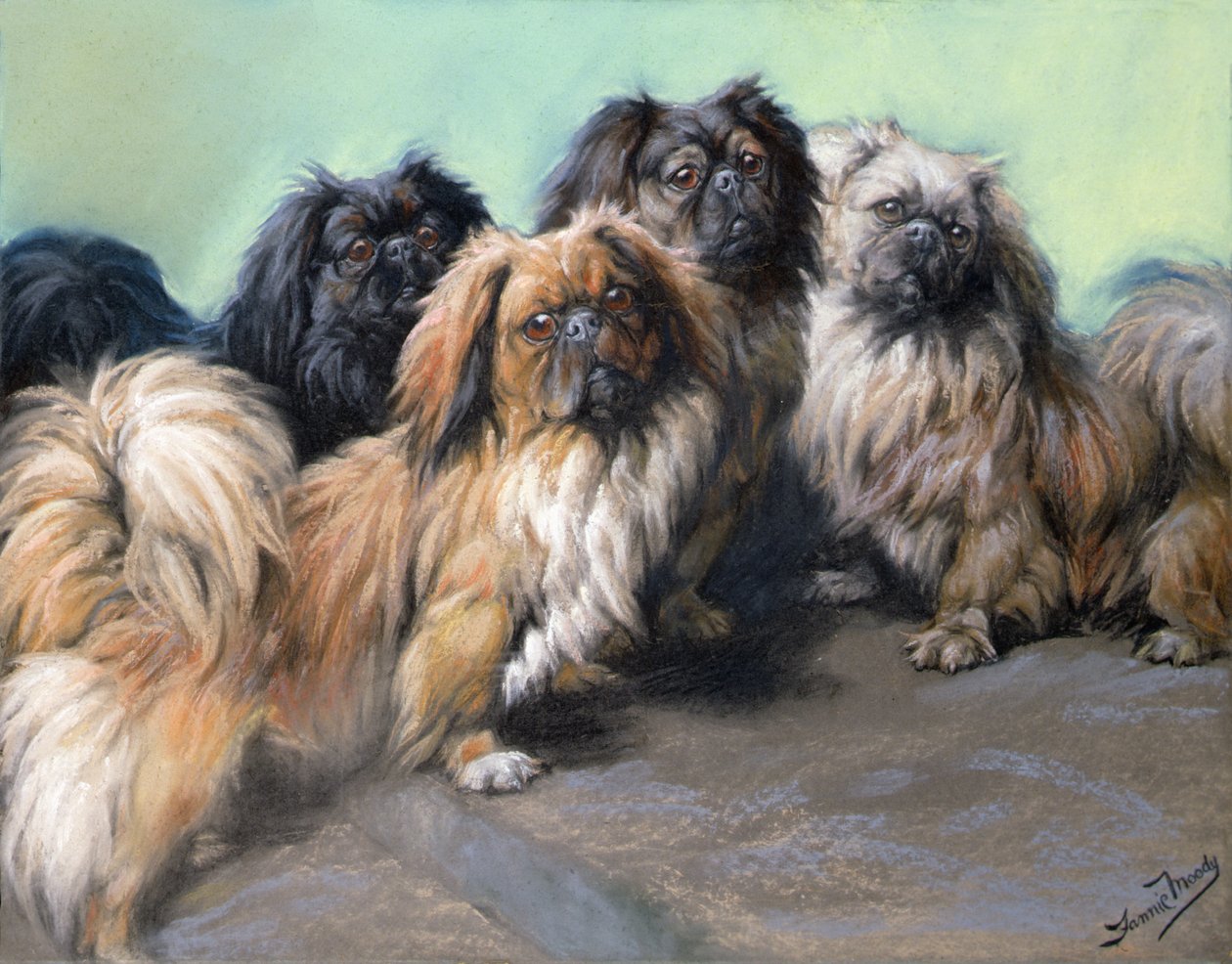 Queridos mimados (giz colorido) de Fannie Moody