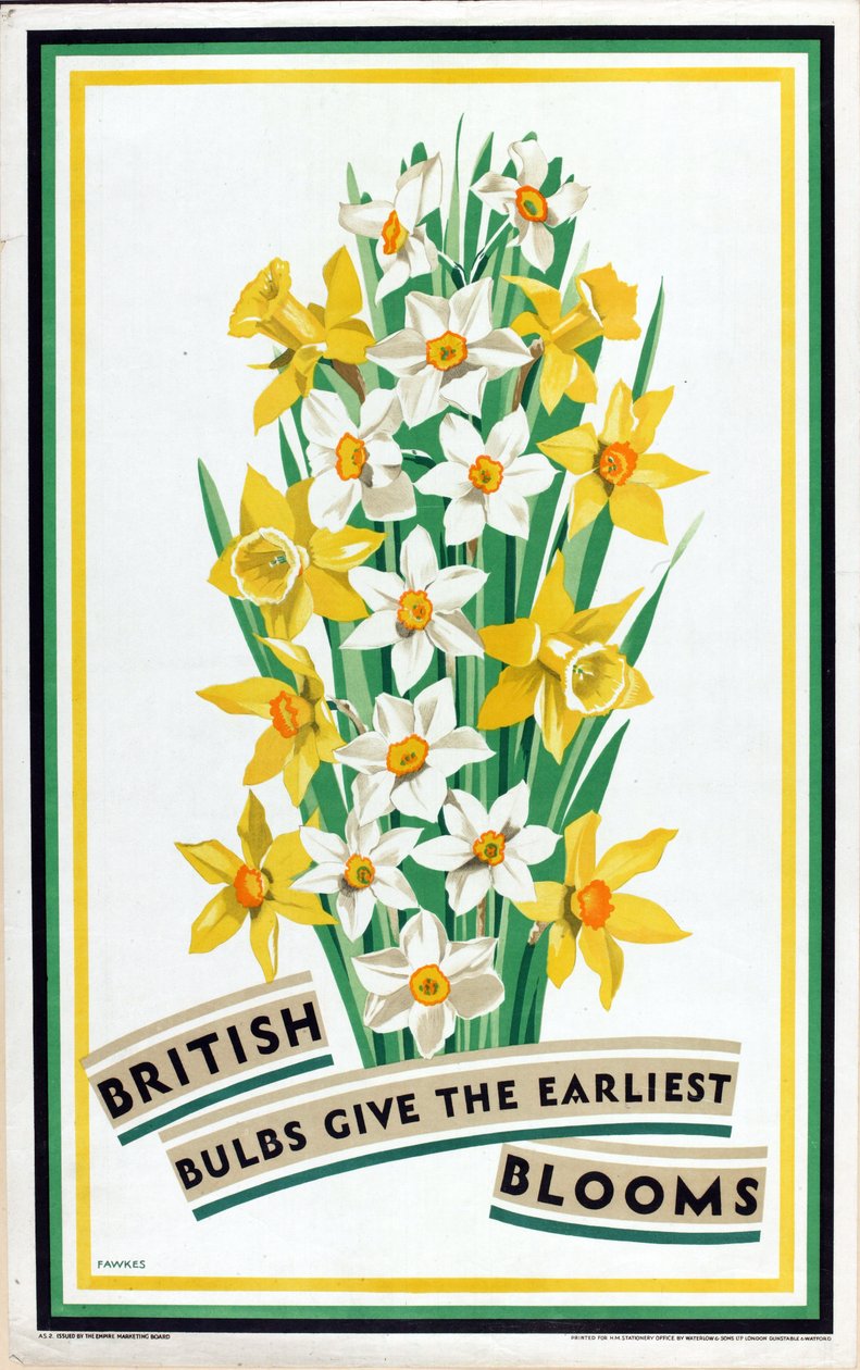British Bulbs Give the Earliest Blooms, da série "British Bulbs for Home Gardens" (litografia a cores) de Fawkes Fawkes
