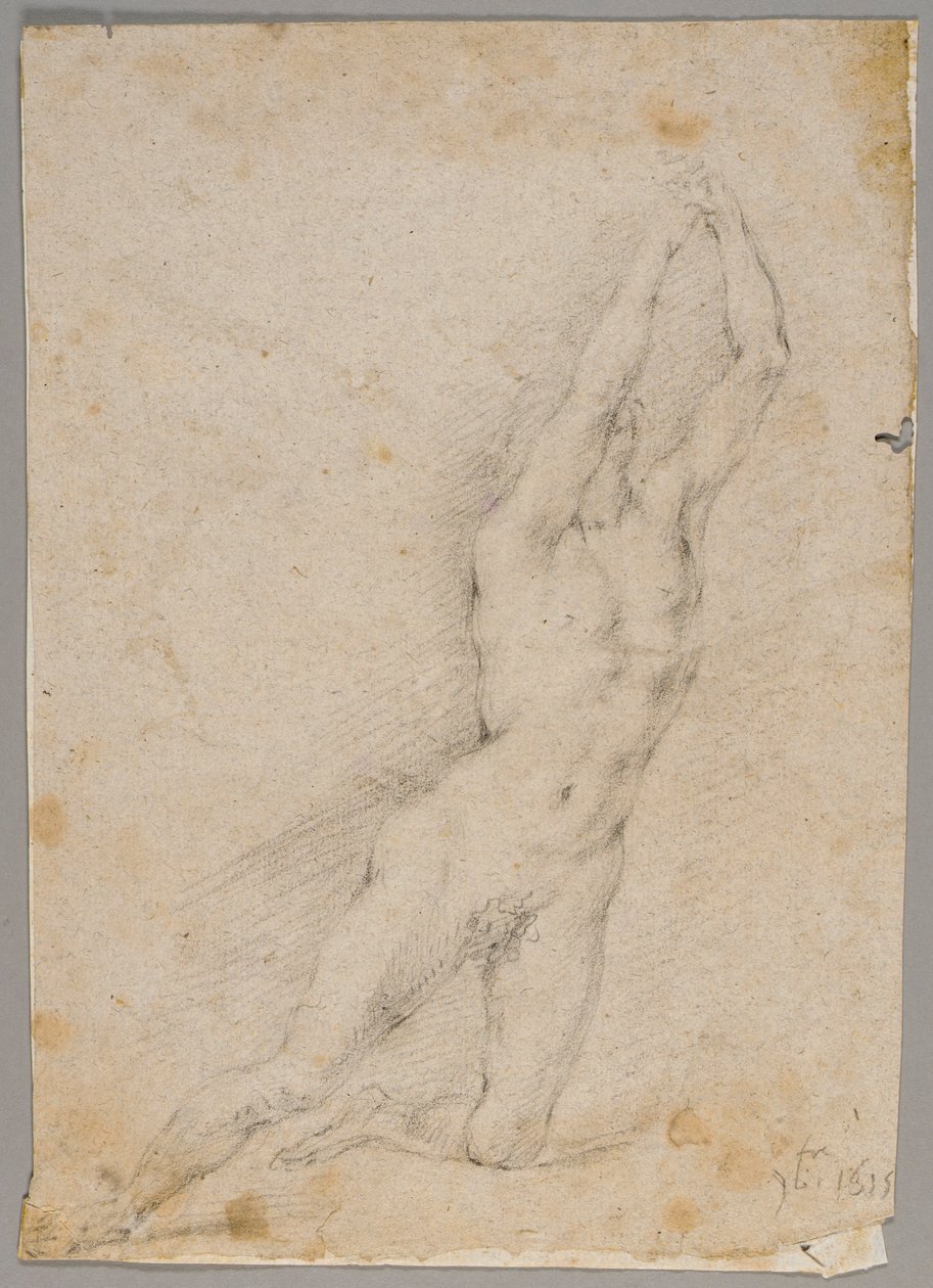 Desenho de Fedele Fischetti