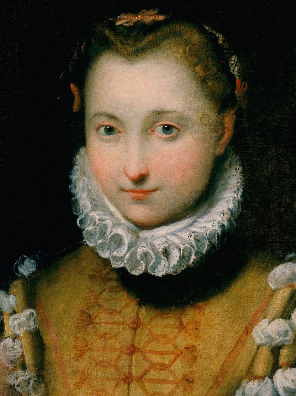 Retrato, de, um, mulher jovem de Federico Fiori Barocci or Baroccio