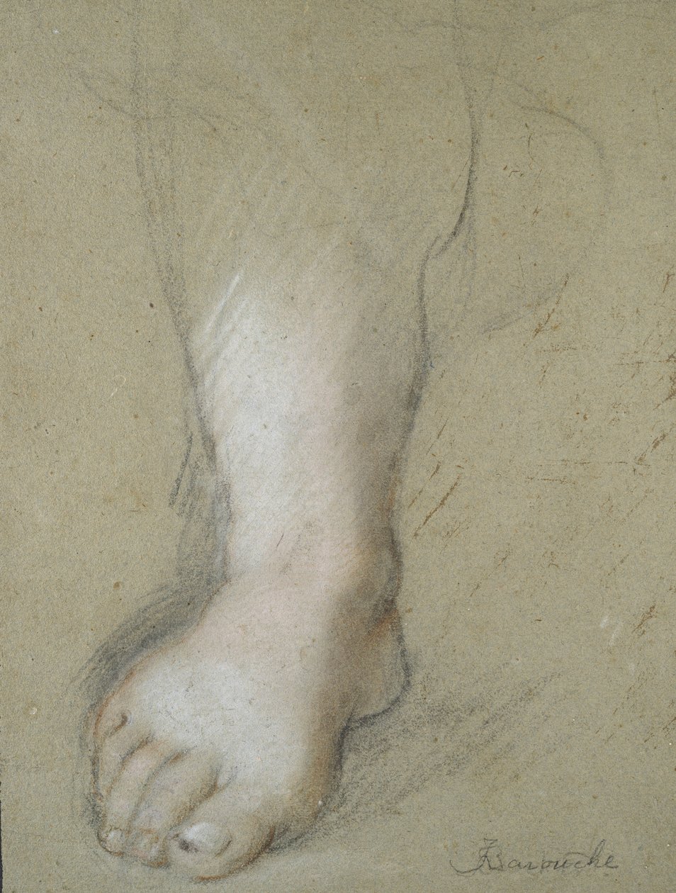 Estudo de um pé (giz preto, vermelho, rosa e branco em um papel acinzentado) de Federico Barocci
