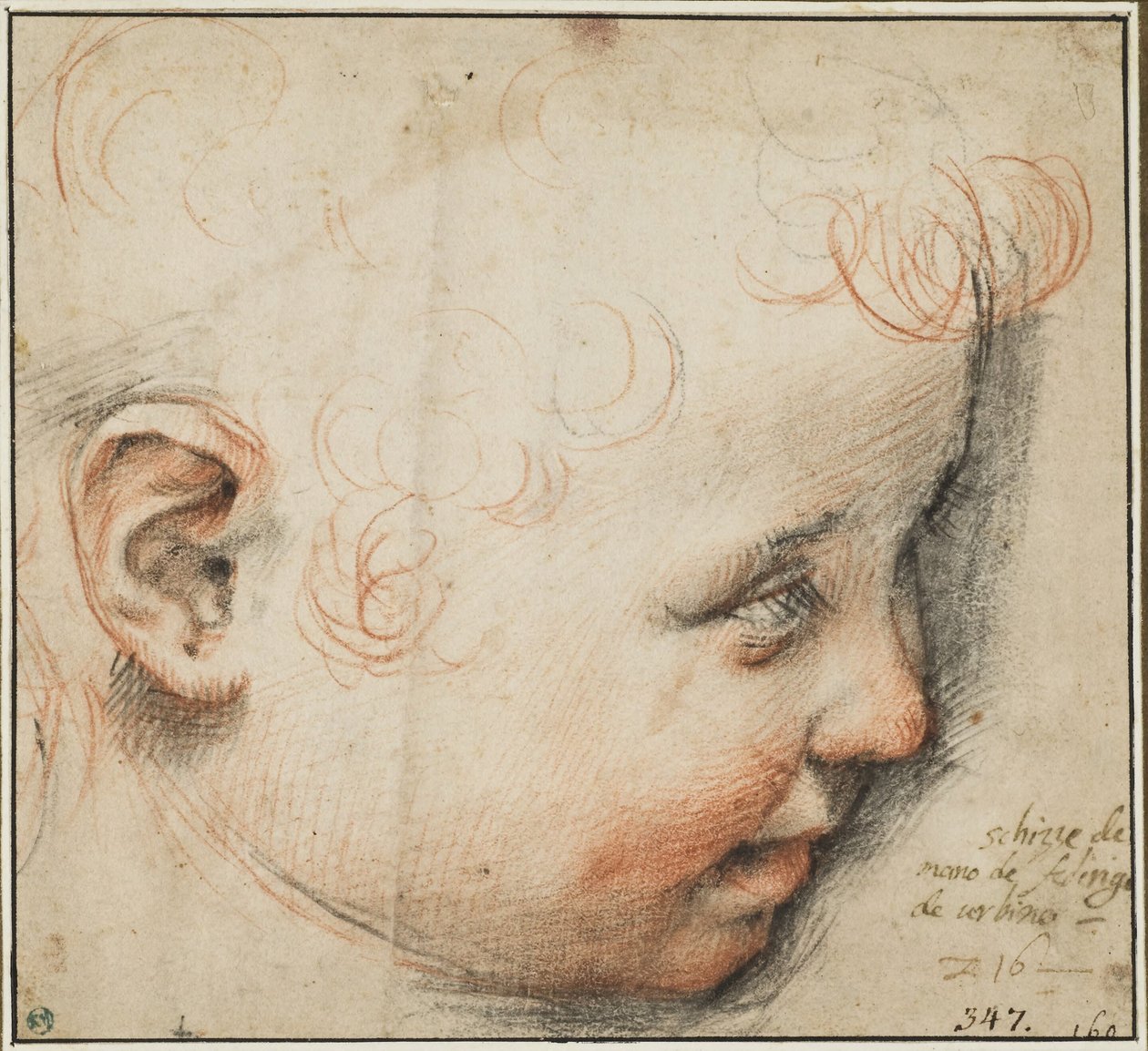 Cabeça de criança de perfil; talvez para o Menino Jesus de Federico Barocci